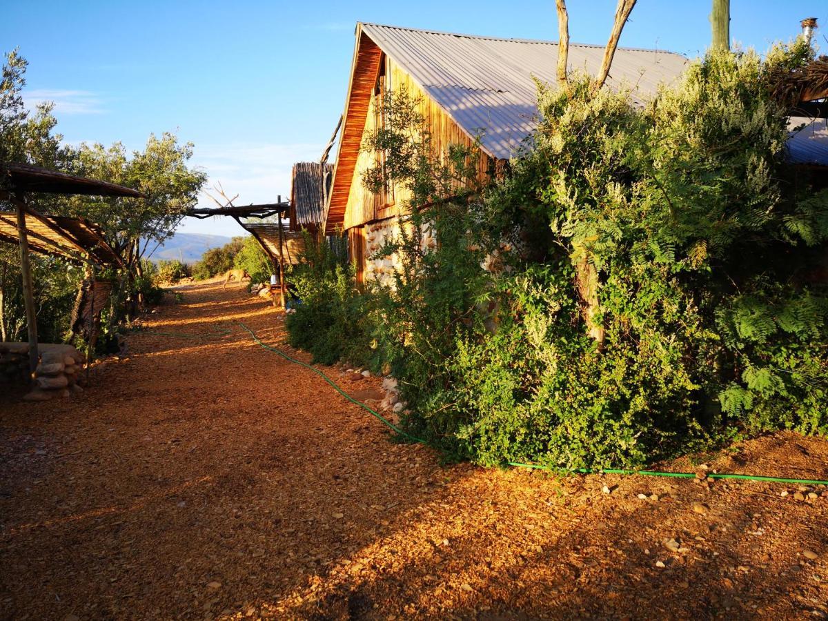 Amber Lagoon Backpackers Lodge Vleirivier Εξωτερικό φωτογραφία