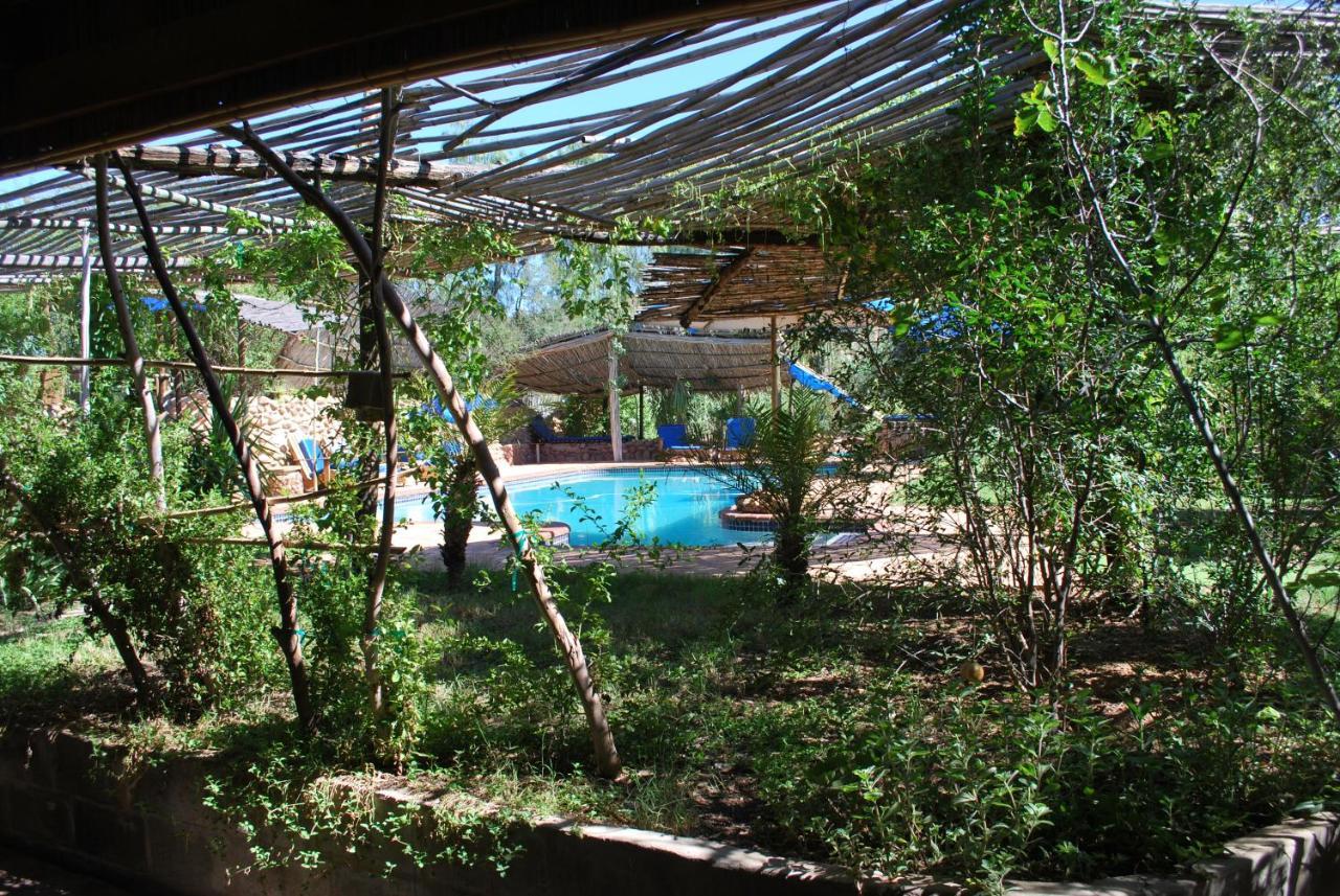 Amber Lagoon Backpackers Lodge Vleirivier Εξωτερικό φωτογραφία