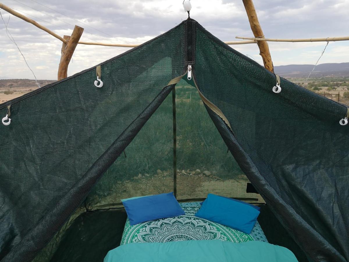 Amber Lagoon Backpackers Lodge Vleirivier Εξωτερικό φωτογραφία