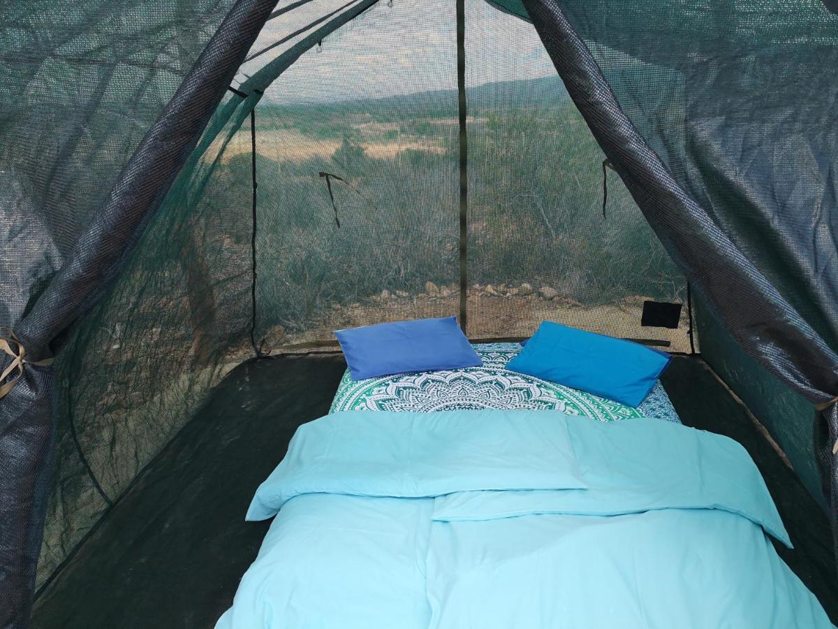 Amber Lagoon Backpackers Lodge Vleirivier Εξωτερικό φωτογραφία