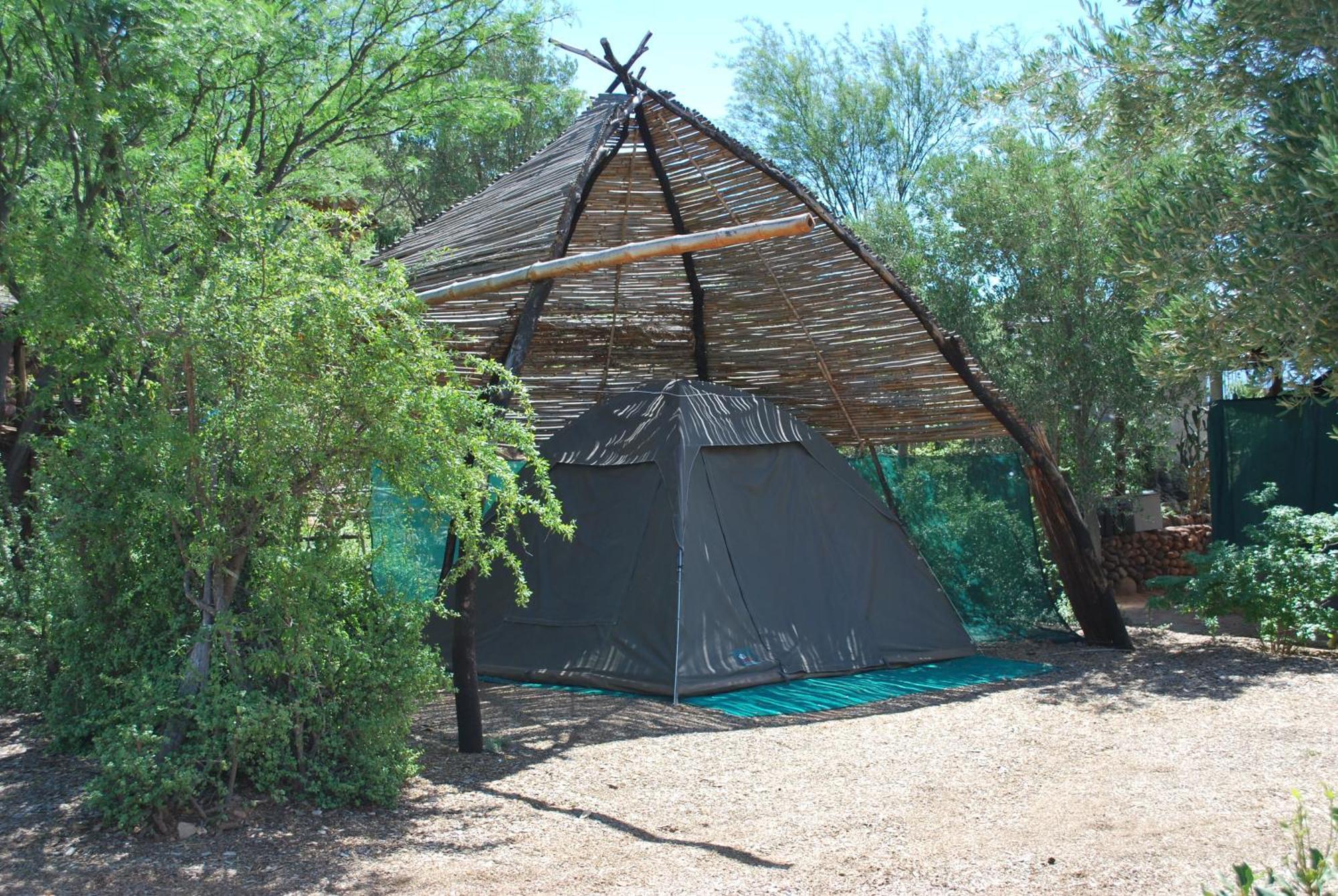 Amber Lagoon Backpackers Lodge Vleirivier Δωμάτιο φωτογραφία