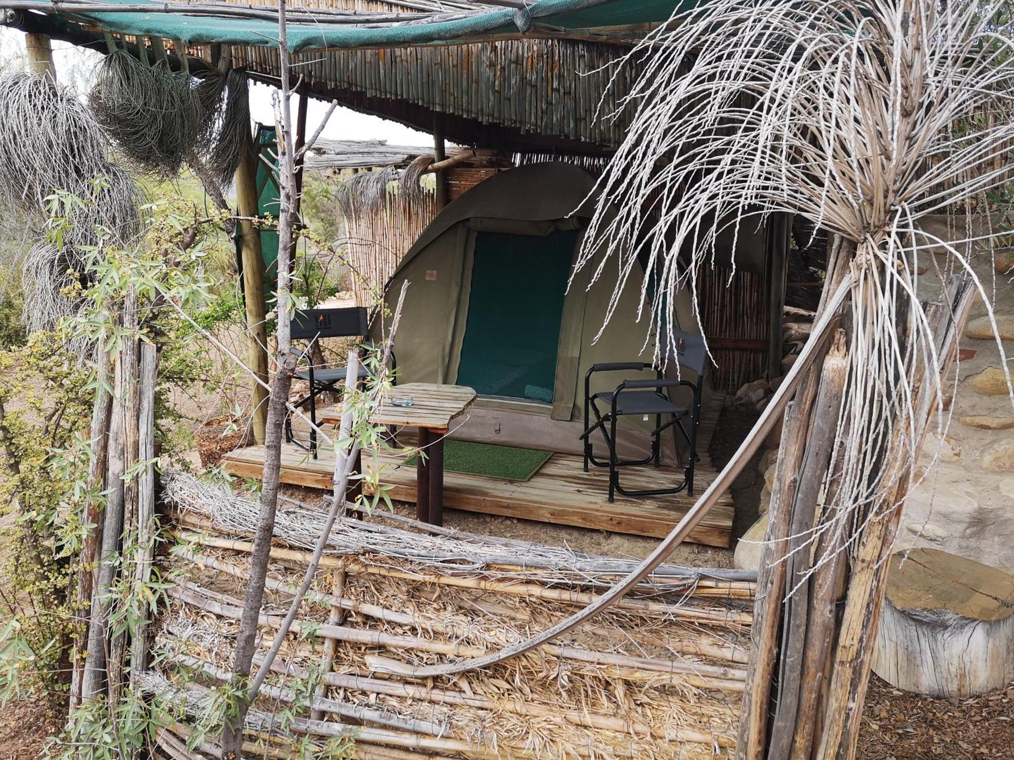 Amber Lagoon Backpackers Lodge Vleirivier Δωμάτιο φωτογραφία