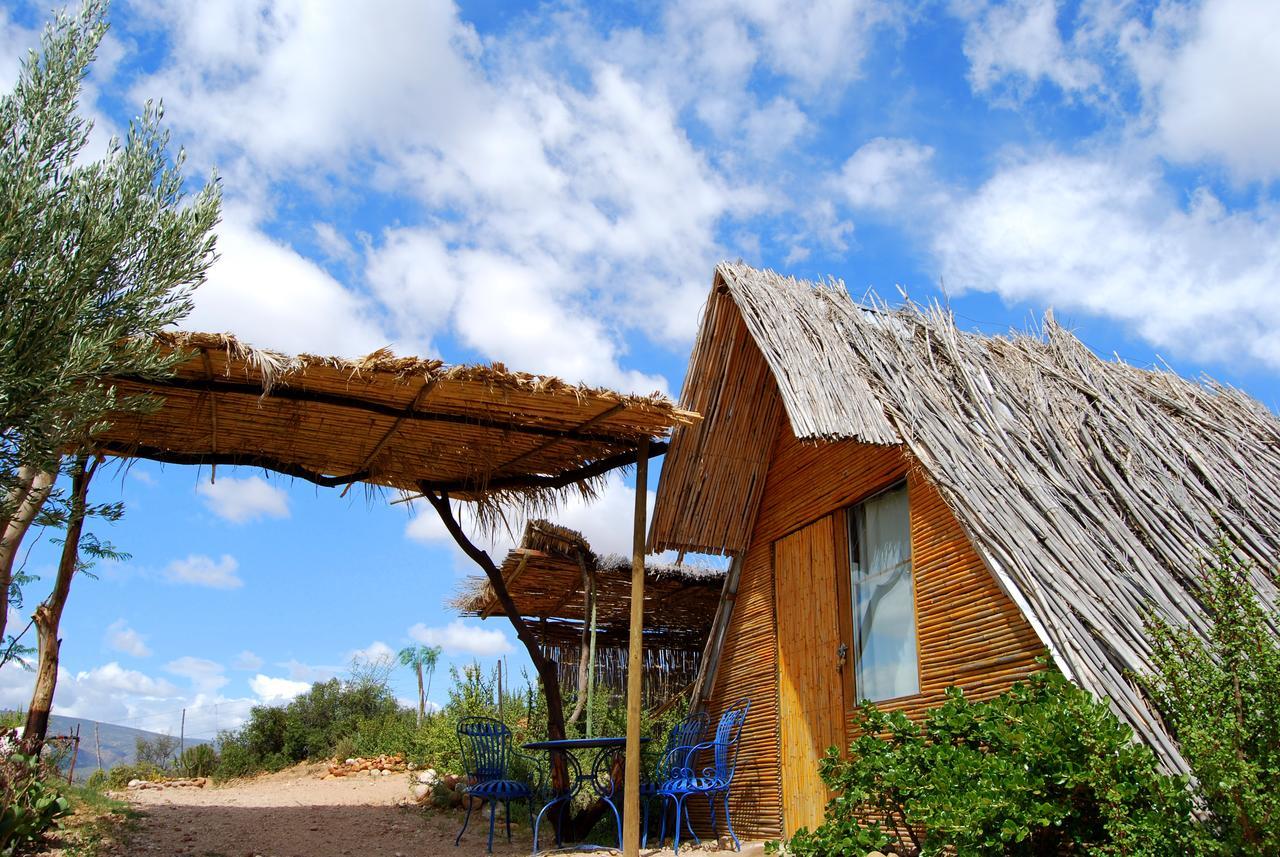 Amber Lagoon Backpackers Lodge Vleirivier Εξωτερικό φωτογραφία